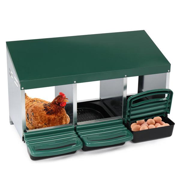 Crystal 3-compartment Chicken Feeding Trough