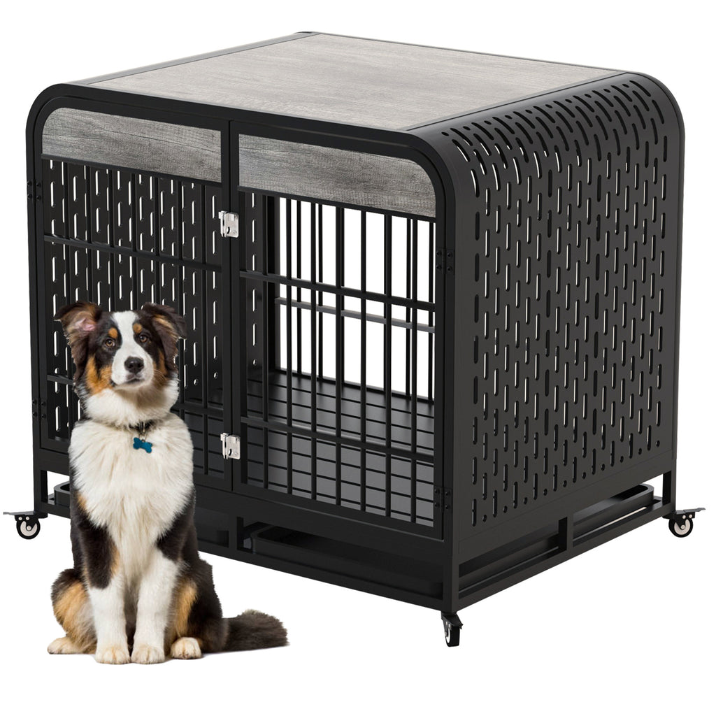 Crystal  Dog Crate