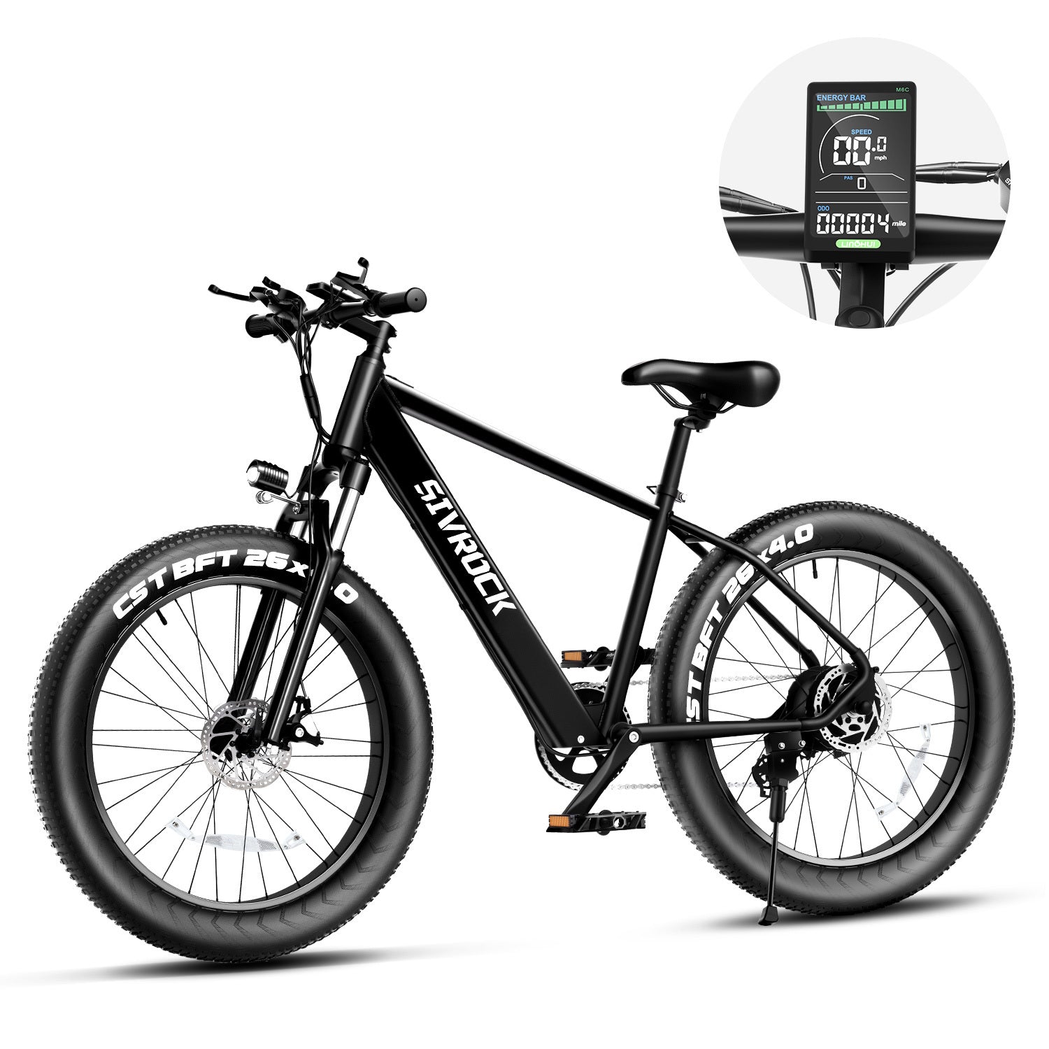 Professional Electric Bike For Adults,
