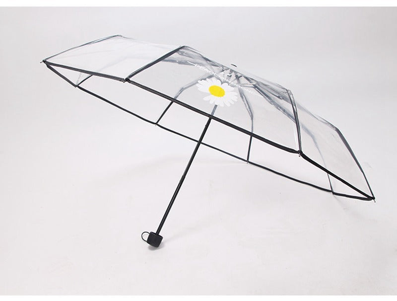 Transparent female folding umbrella