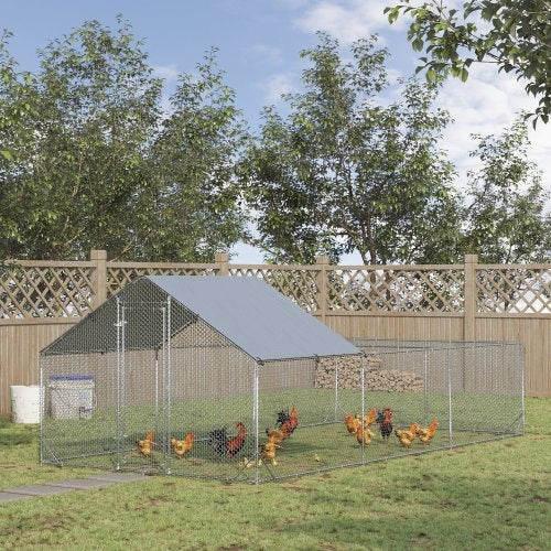 Crystal Chicken Track