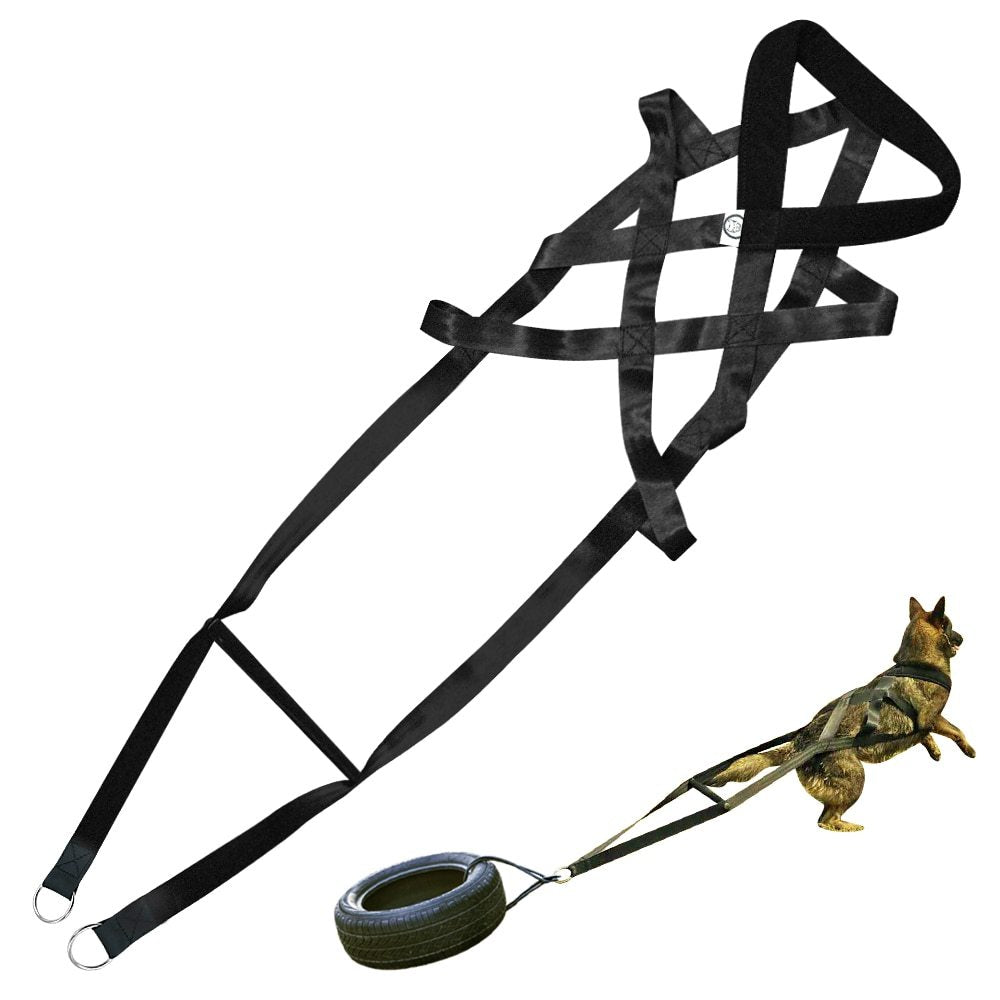 Crystal Dog training supplies
