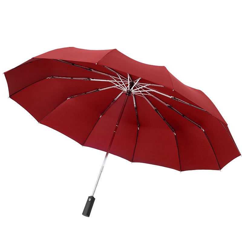 Crystal Travel Umbrella for Rain
