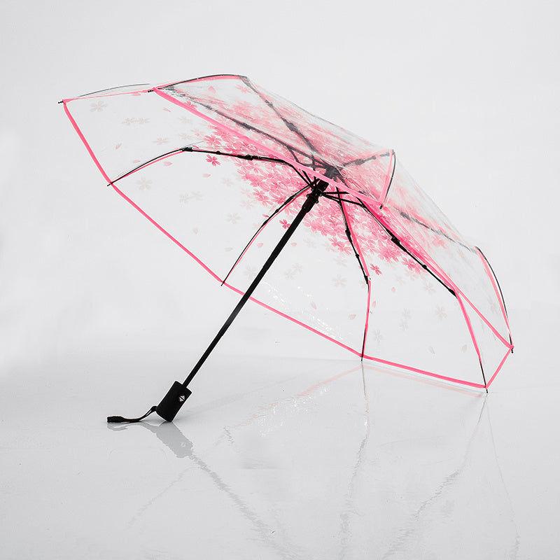 Transparent female folding umbrella