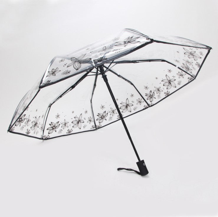 Transparent female folding umbrella