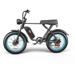 Dual-drive High-speed Electric Bike