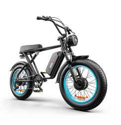 Dual-drive High-speed Electric Bike