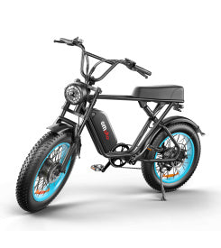 Dual-drive High-speed Electric Bike