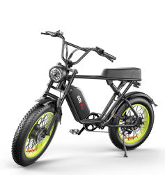 Dual-drive High-speed Electric Bike