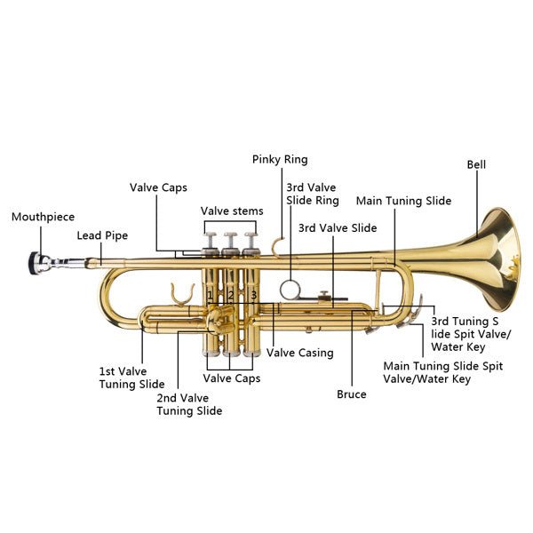 Drop B Tone Adjustable Trumpet Gloves Set