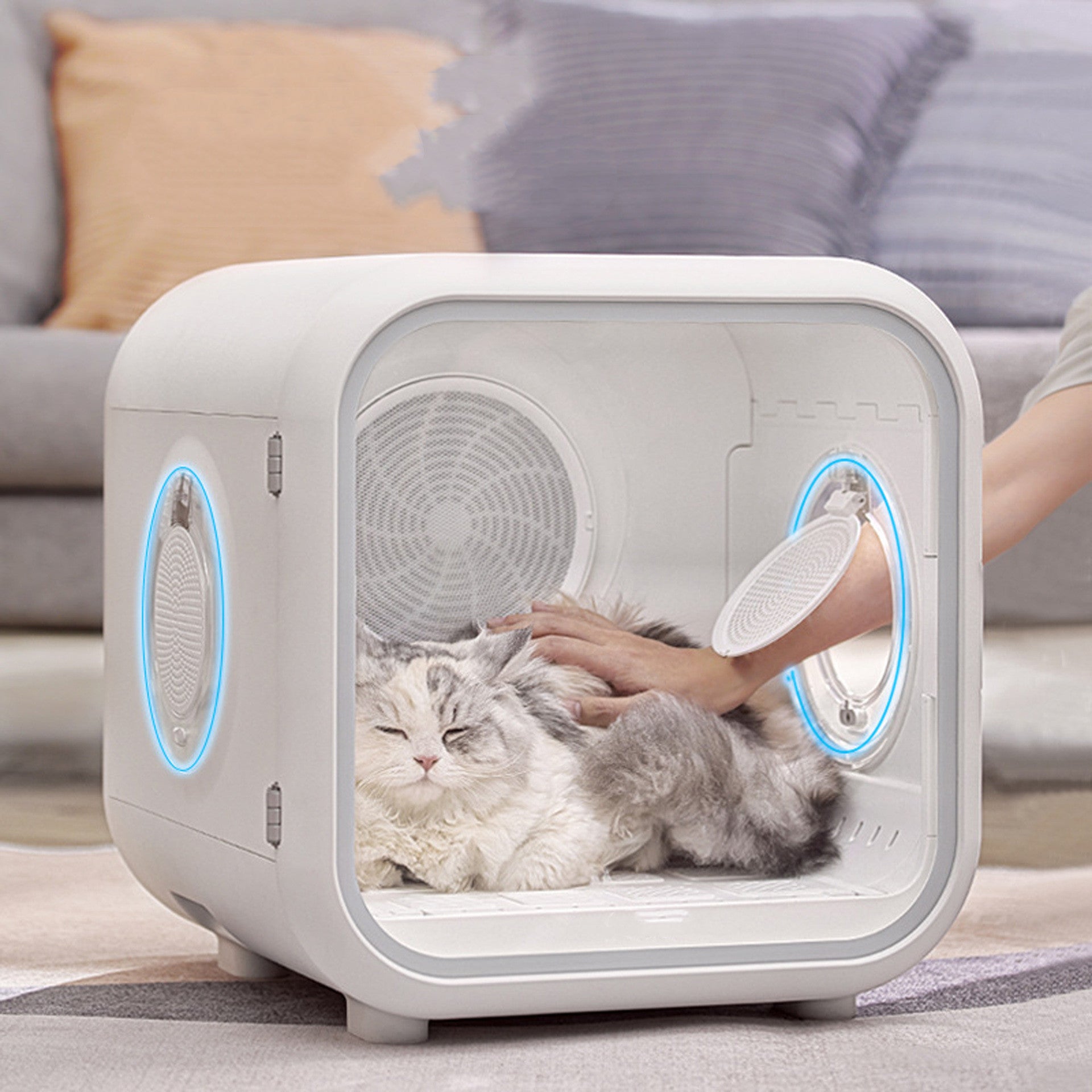Crystal Pet Intelligent Drying Box Fully Automatic