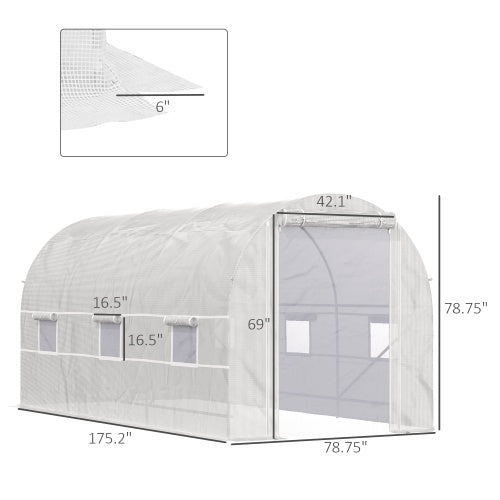 Crystal  Walk-In Tunnel Greenhouse