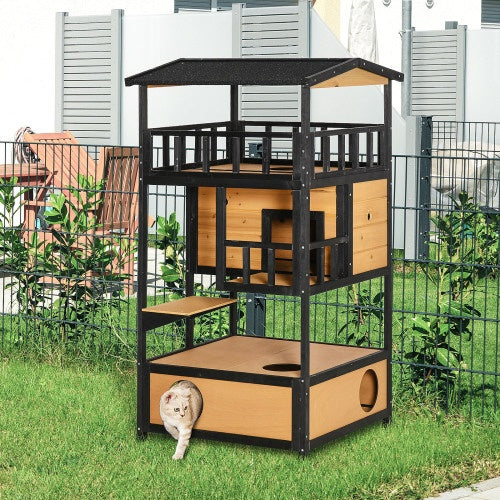 Crystal  Wild Cat Shelter Kitten Tree