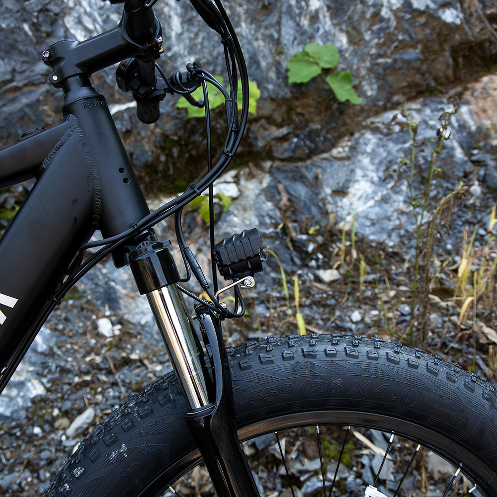 Professional Electric Bike For Adults,