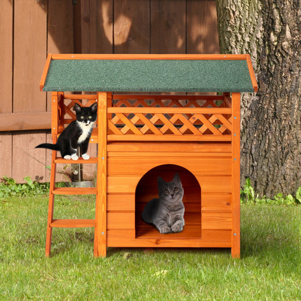 Crystal  Green Asphalt Roof, Cat House