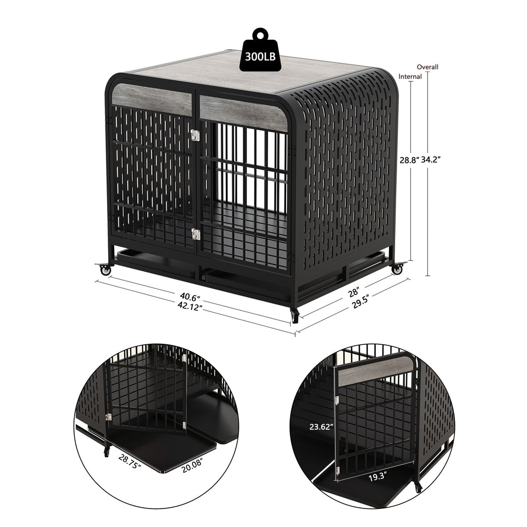 Crystal  Dog Crate