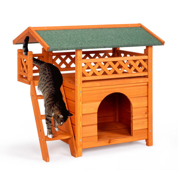 Crystal  Green Asphalt Roof, Cat House