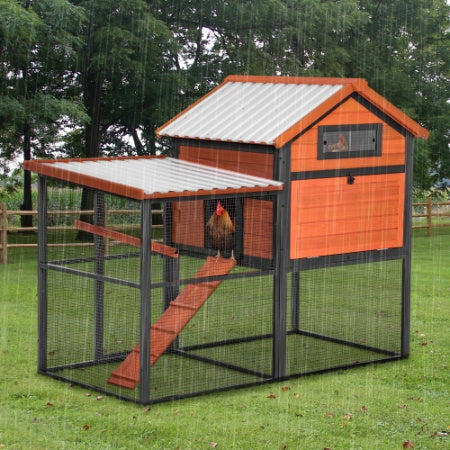 Crystal Chicken Coop