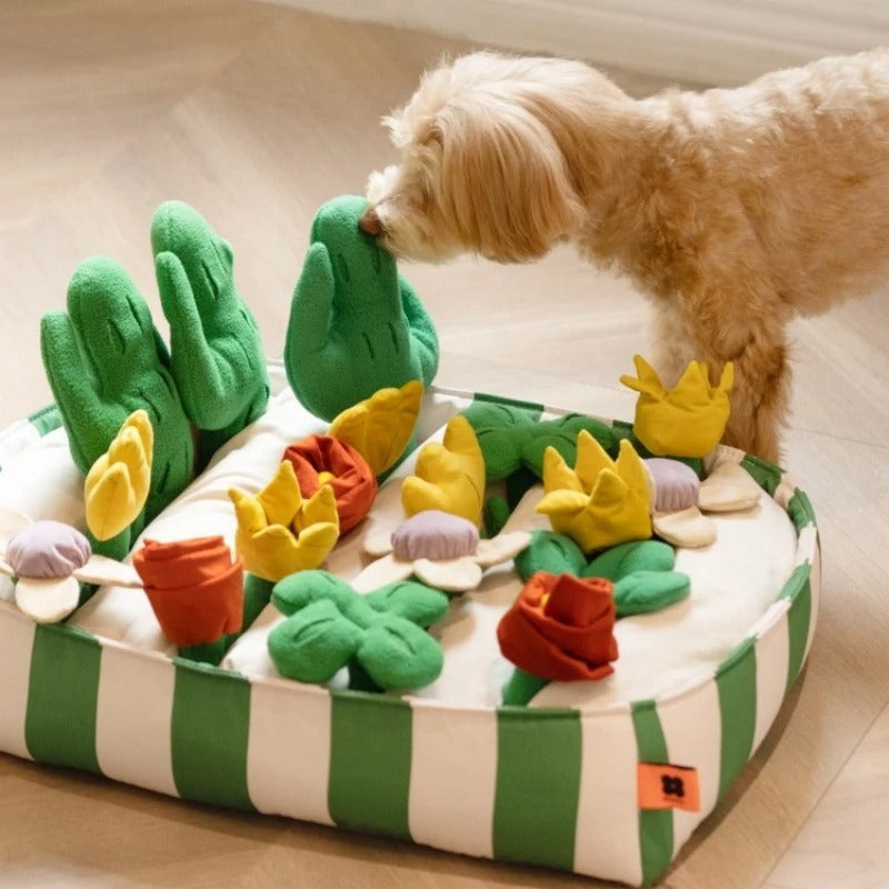 Crystal Pet Dog Food Leakage Educational Toys