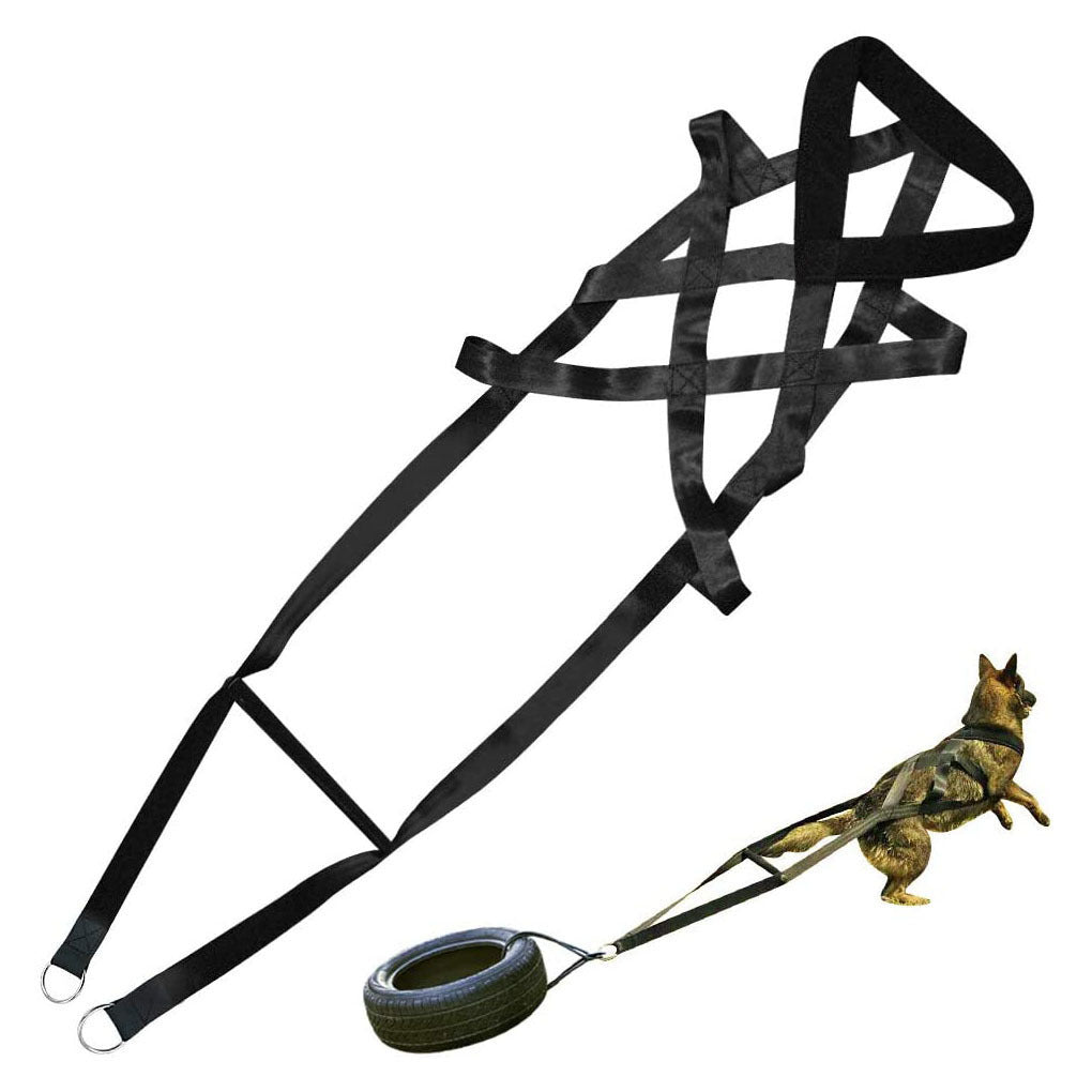 Crystal Dog training supplies
