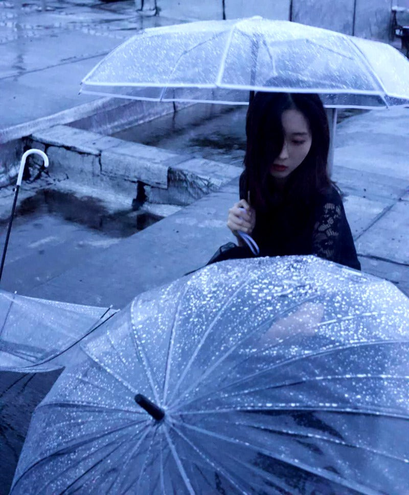 Transparent female folding umbrella