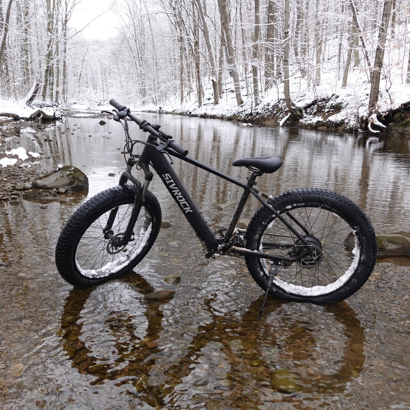 Professional Electric Bike For Adults,