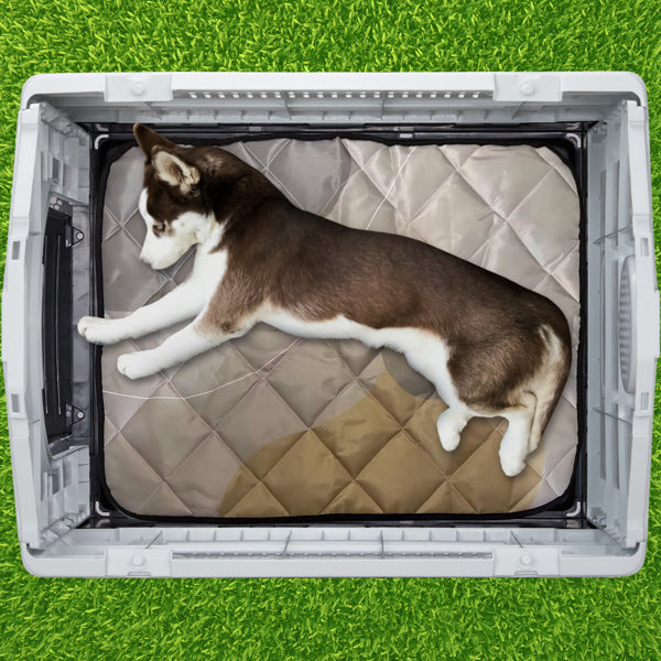 Crystal  Pointed House Type Cat And Dog House