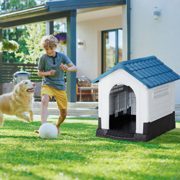 Crystal  Pointed House Type Cat And Dog House