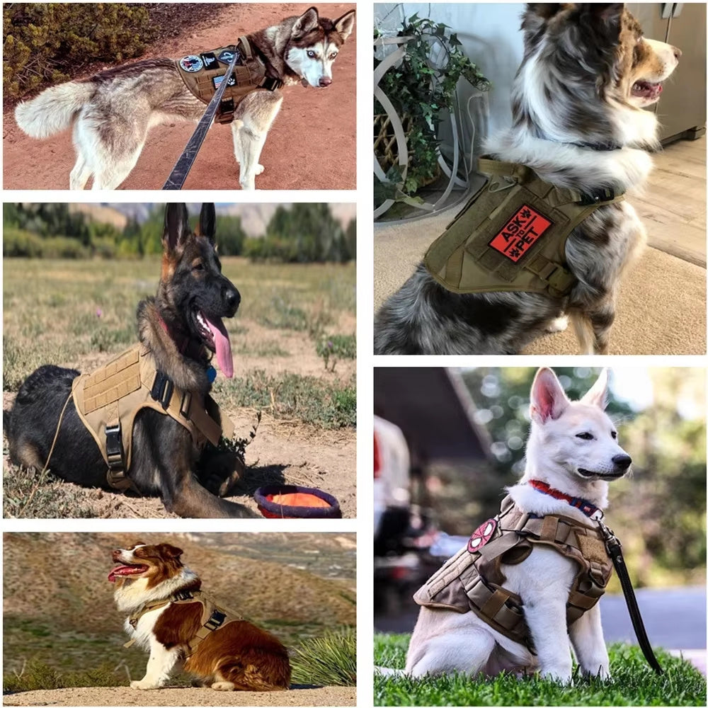 Crystal  Luxury Dog Leash Set