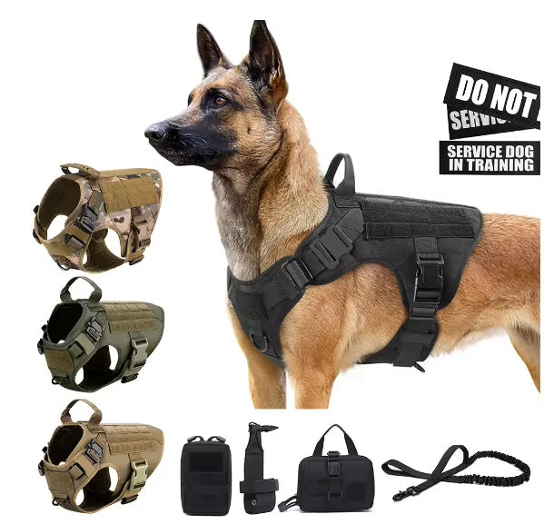 Crystal  Luxury Dog Leash Set