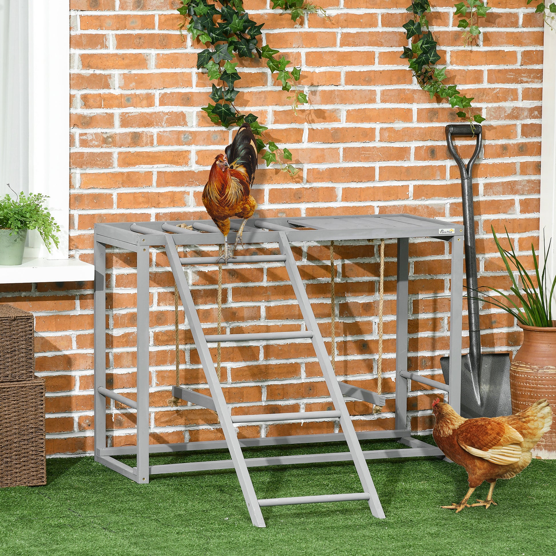 Crystal Chicken Coop Accessory