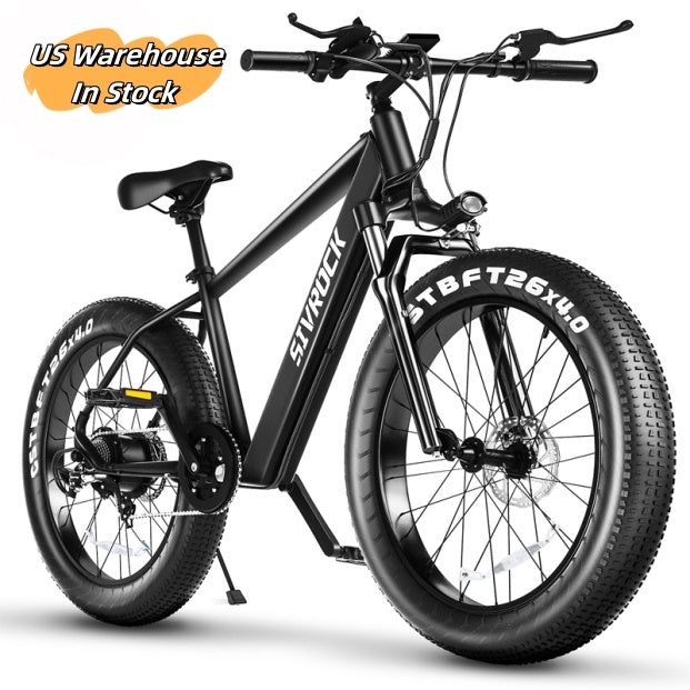 Professional Electric Bike For Adults,
