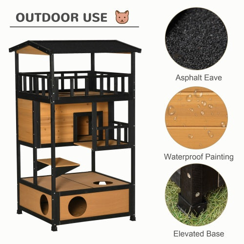 Crystal  Wild Cat Shelter Kitten Tree