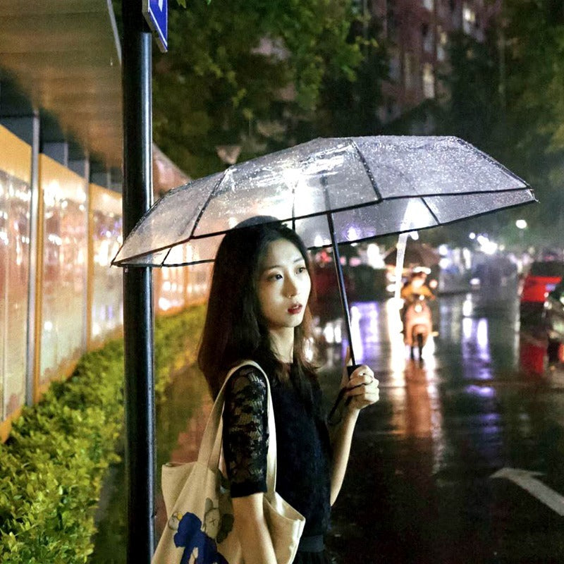 Transparent female folding umbrella