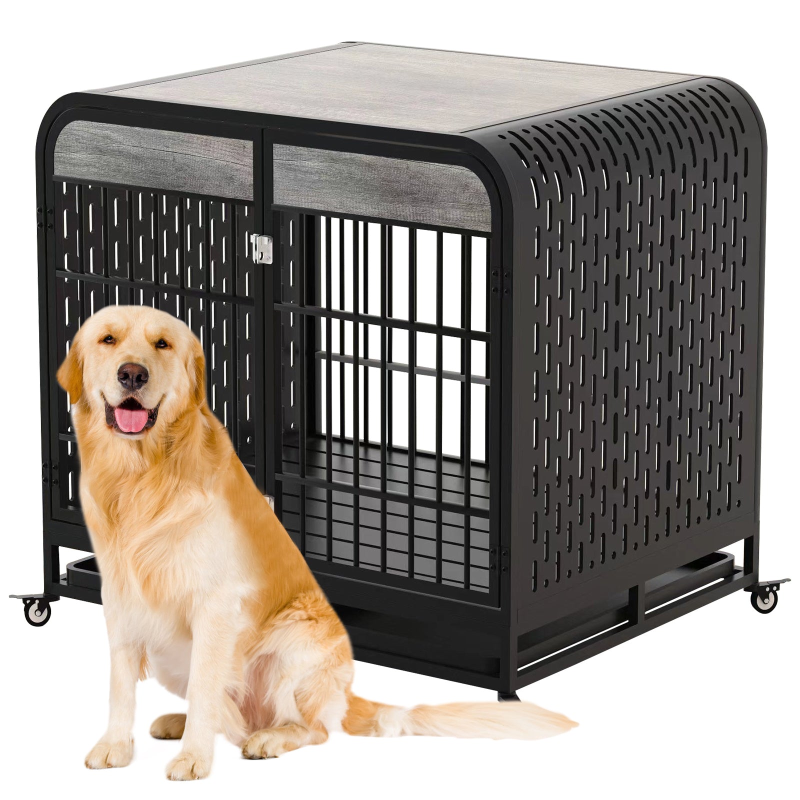 Crystal  Dog Crate