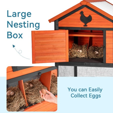 Crystal Chicken Coop