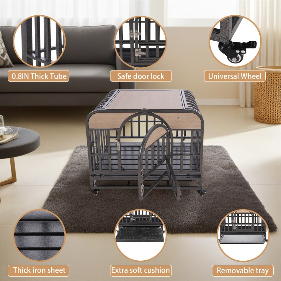 Crystal  Trays And Wheels For High Anxiety Dogs