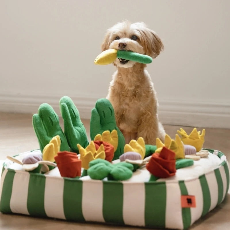 Crystal Pet Dog Food Leakage Educational Toys