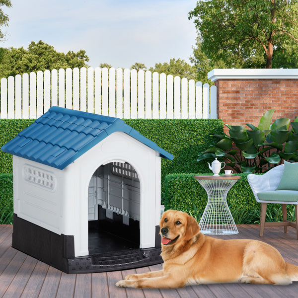 Crystal  Pointed House Type Cat And Dog House