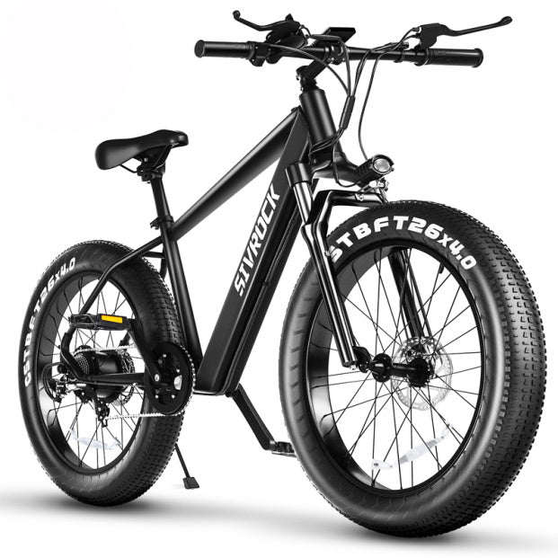 Professional Electric Bike For Adults,