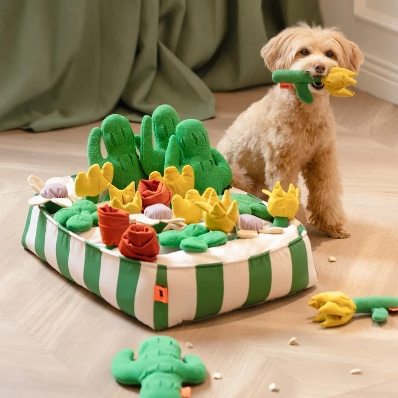 Crystal Pet Dog Food Leakage Educational Toys