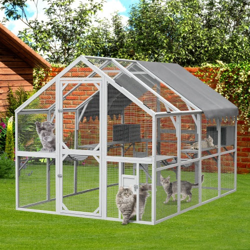 Crystal Outdoor Cat Room