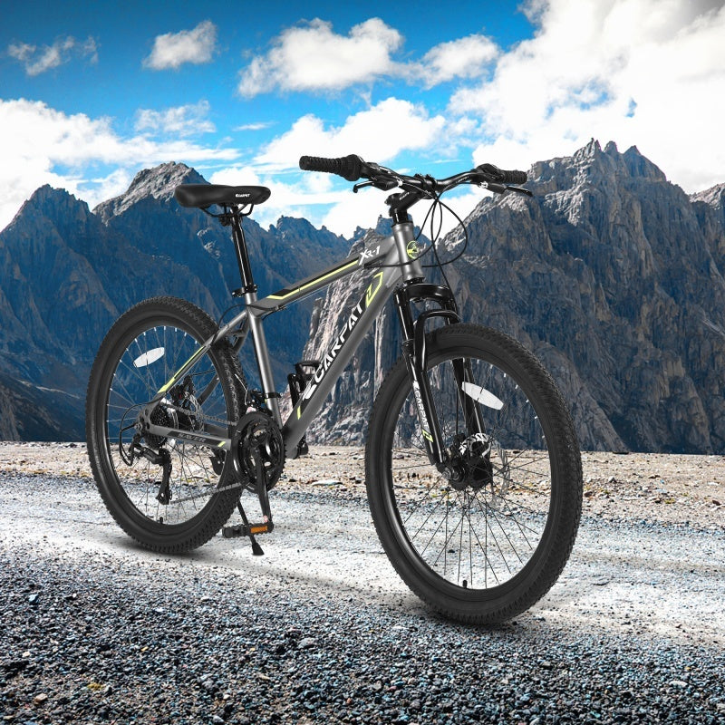 Mountain Bike, With Dual Disc