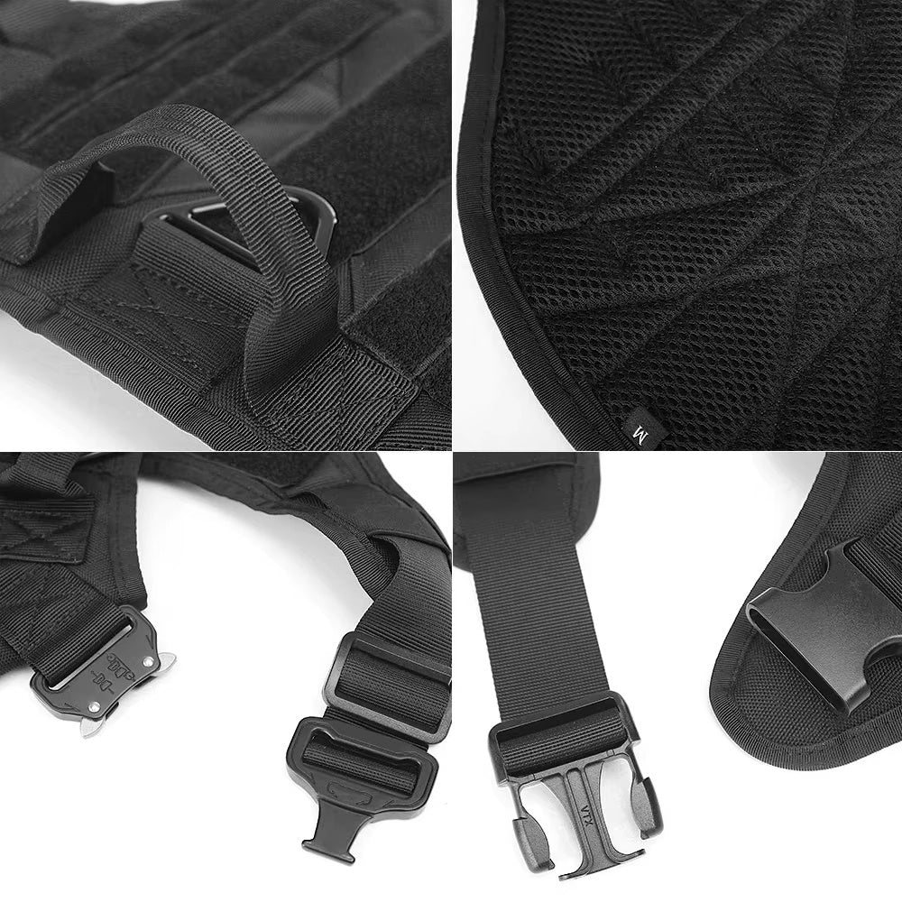 Crystal  Luxury Dog Leash Set