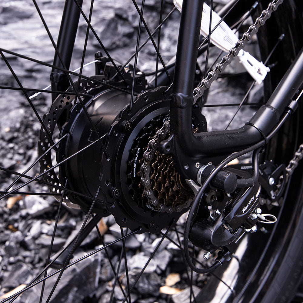Professional Electric Bike For Adults,