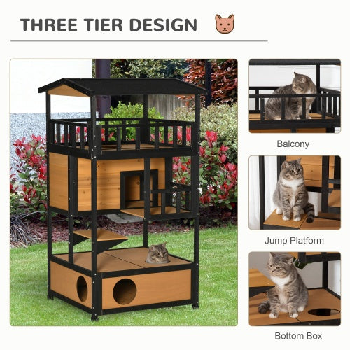 Crystal  Wild Cat Shelter Kitten Tree