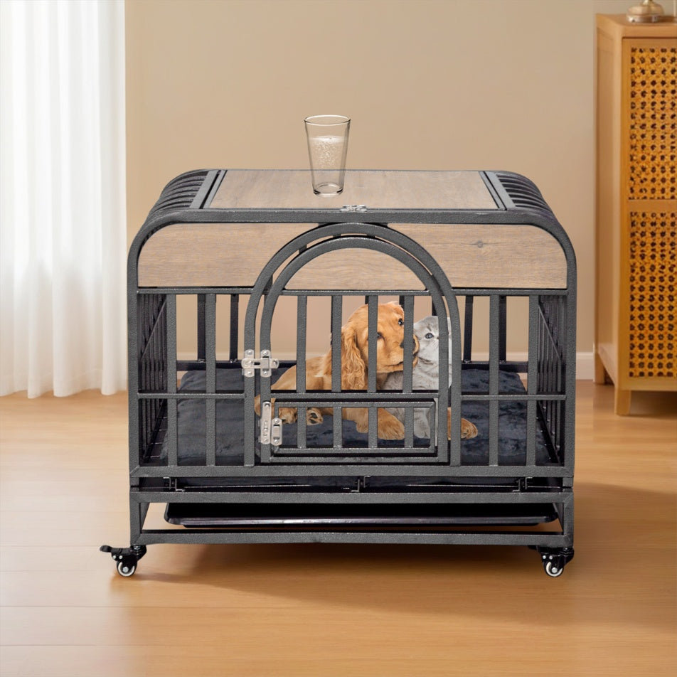 Crystal  Trays And Wheels For High Anxiety Dogs