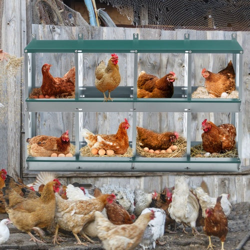 Crystal Chicken Nesting Boxes,