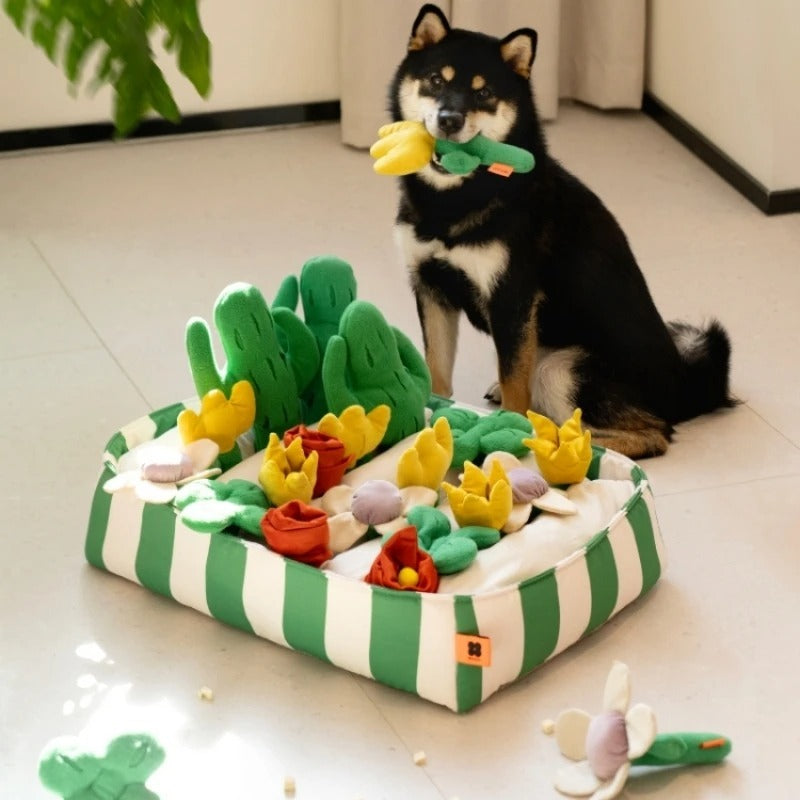Crystal Pet Dog Food Leakage Educational Toys