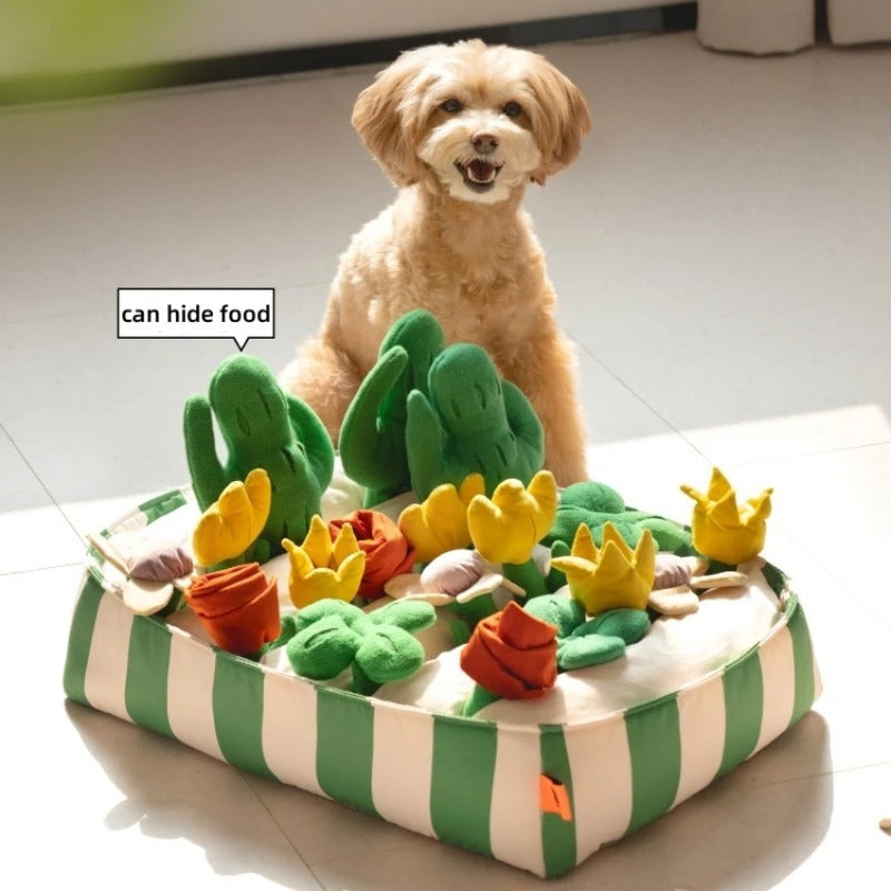 Crystal Pet Dog Food Leakage Educational Toys